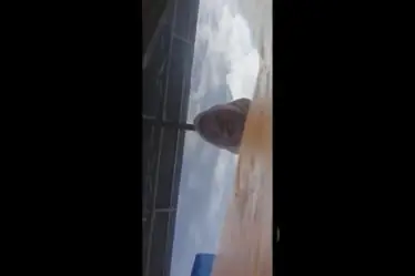 Bini Orang Selingkuh Main Ganas Goyang Ranjang WOT poster